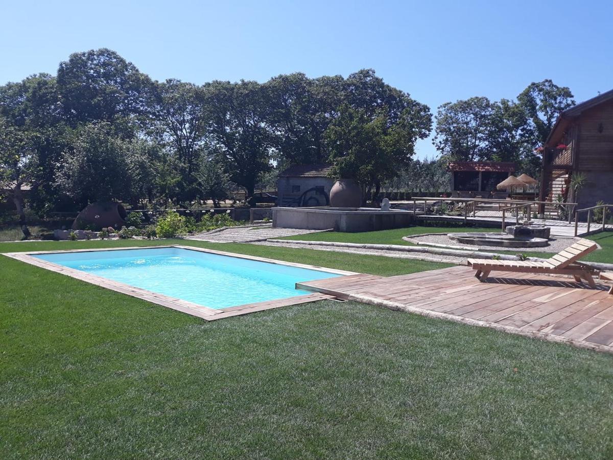 Quinta Ze Do Coval Apartment Arouca Bagian luar foto